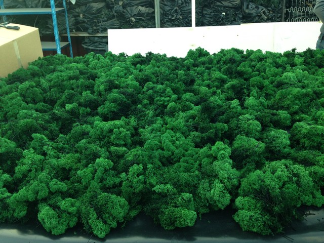 Verde verticale modern-toalett
