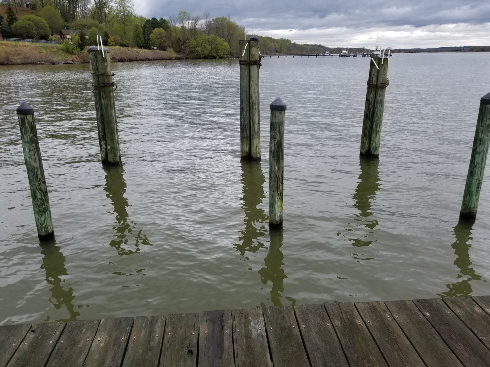 Dock Extension