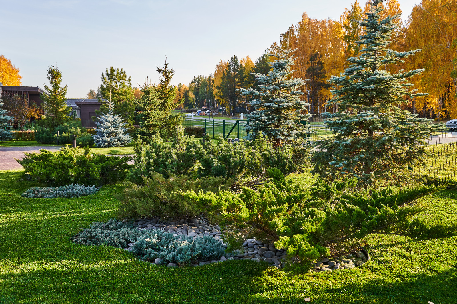 Участок с мужским характером