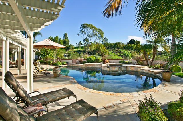 Distinguished Pools traditional-pool