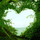 Last commented by Melissa martinez