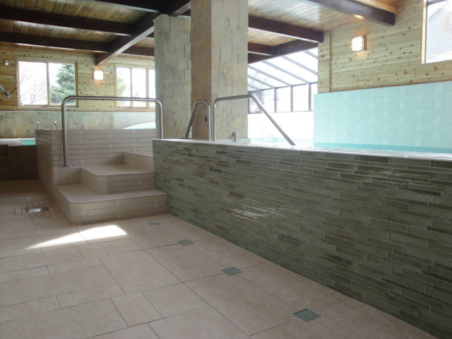 Transitional pool photo in Chicago