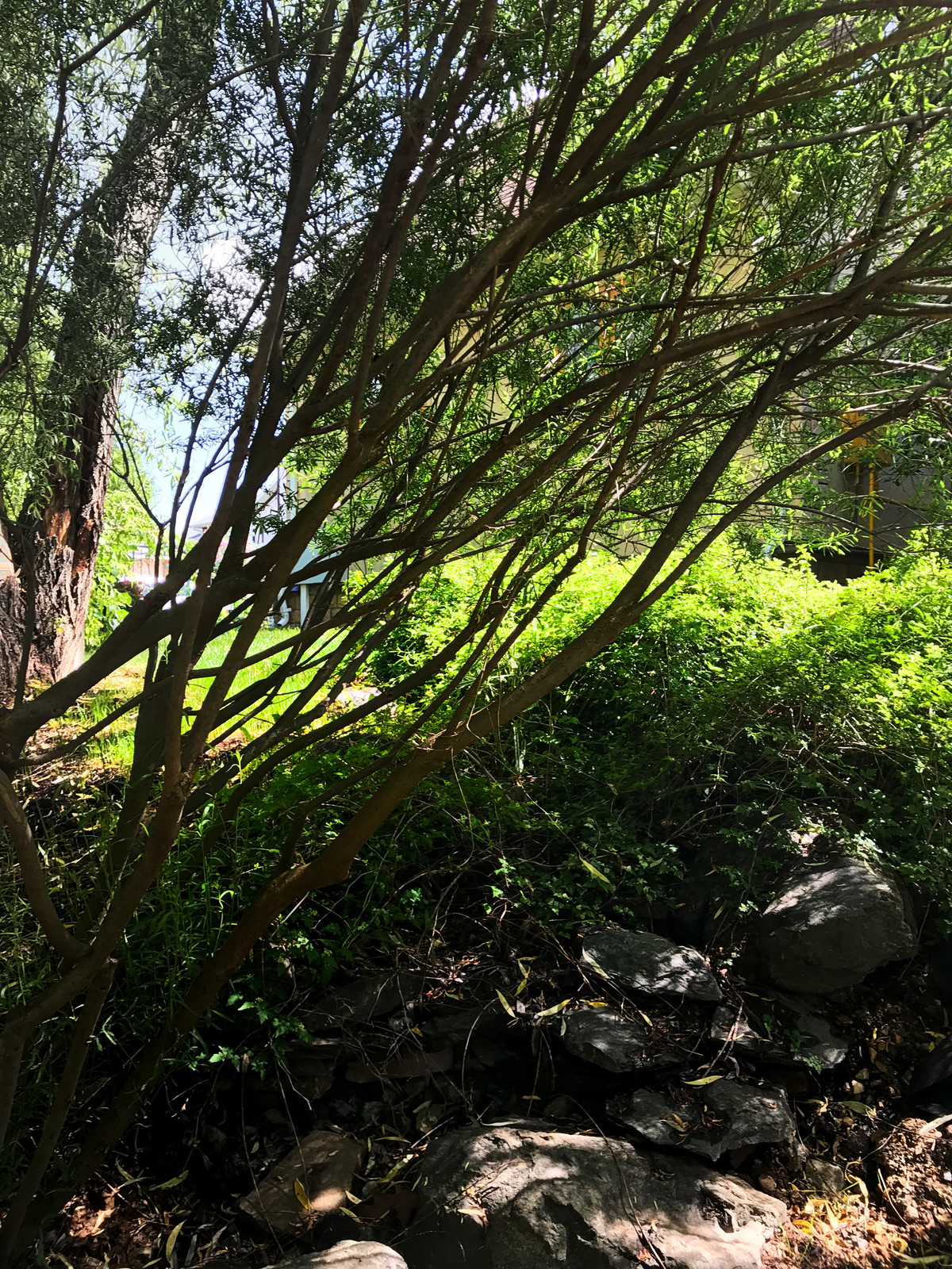 КП Княжье Озеро, 0,16 га