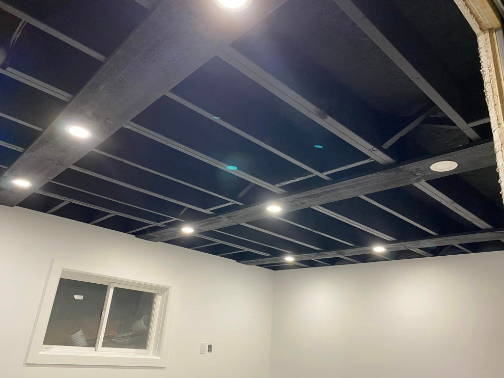 Open Concept Basement