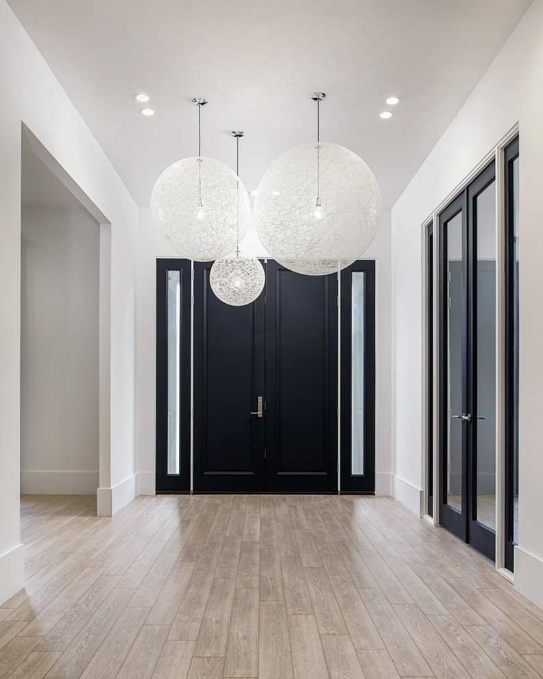 Inspiration for a large contemporary foyer in New York with white walls, light hardwood floors, a double front door, a black front door and brown floor.