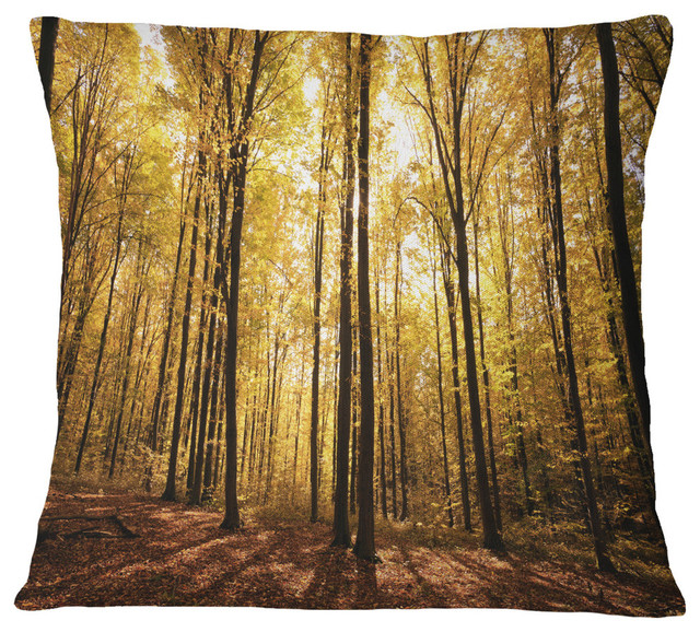 Setting Sun Over Dense Fall Forest Modern Forest Throw Pillow, 16"x16"