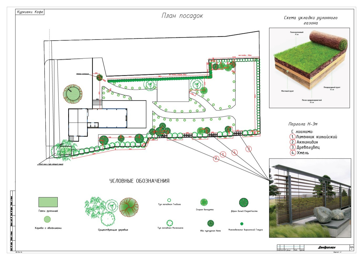 Куркиёки. Кафе