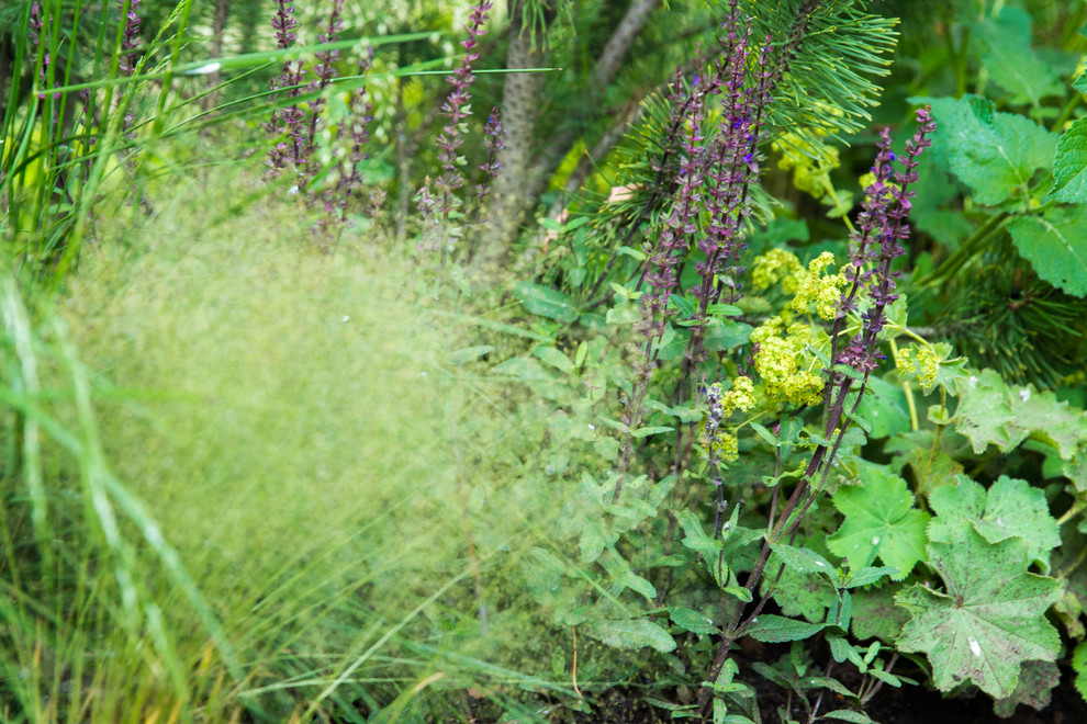 Сад   James Alexander-Sinclair  на Moscow Flower Show 2018  (вне  конкрса)