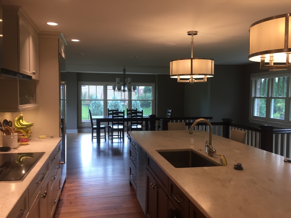 Kitchen - transitional kitchen idea in Chicago