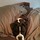 donna_mckechnie50