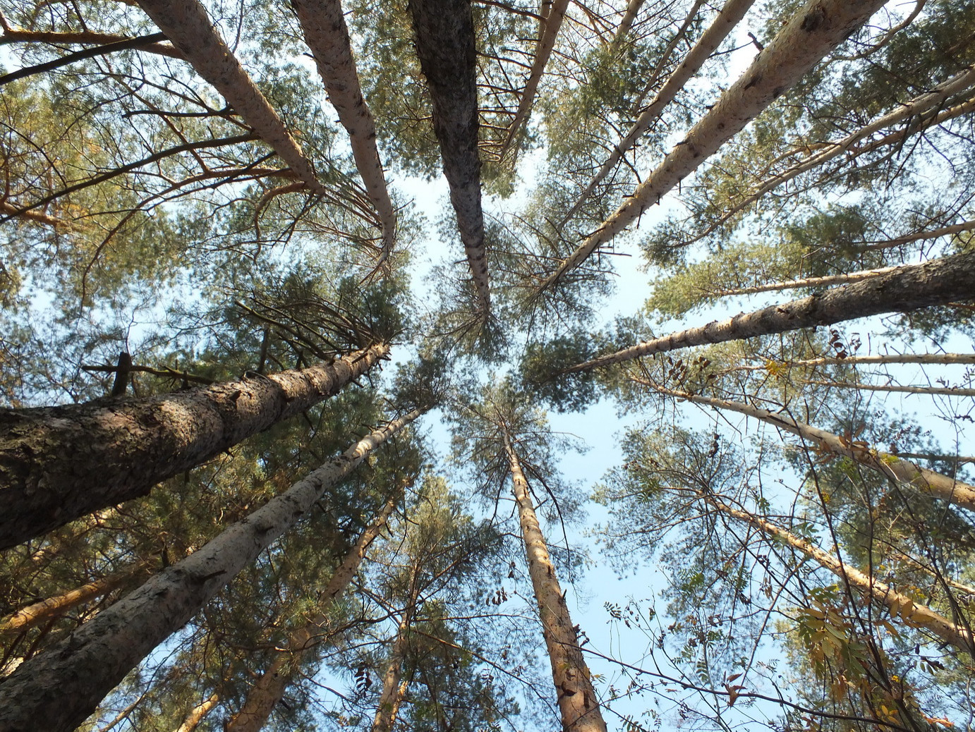Объект «Владимир».