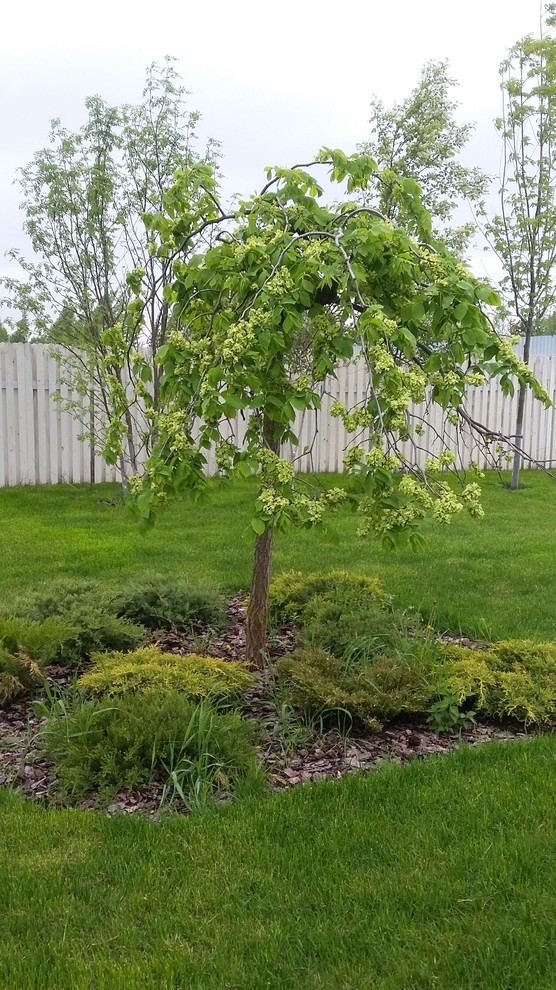 Ландшафтный дизайн