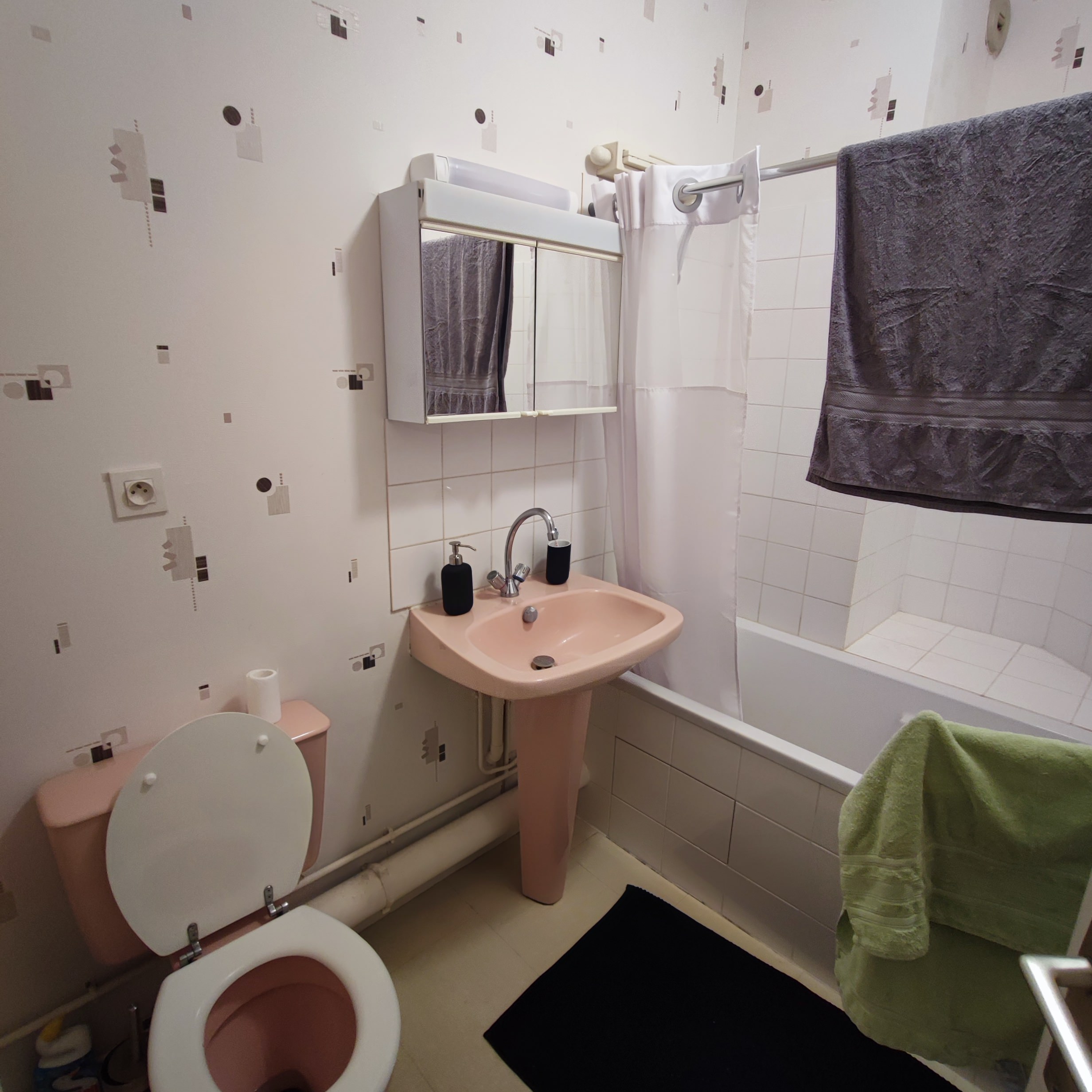 Salle d'eau existante dans le studio