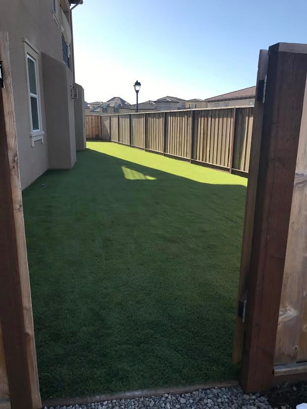 Artificial Grass