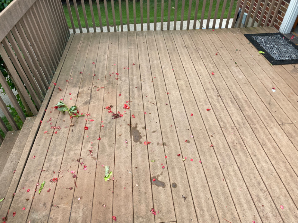 Deck Builds