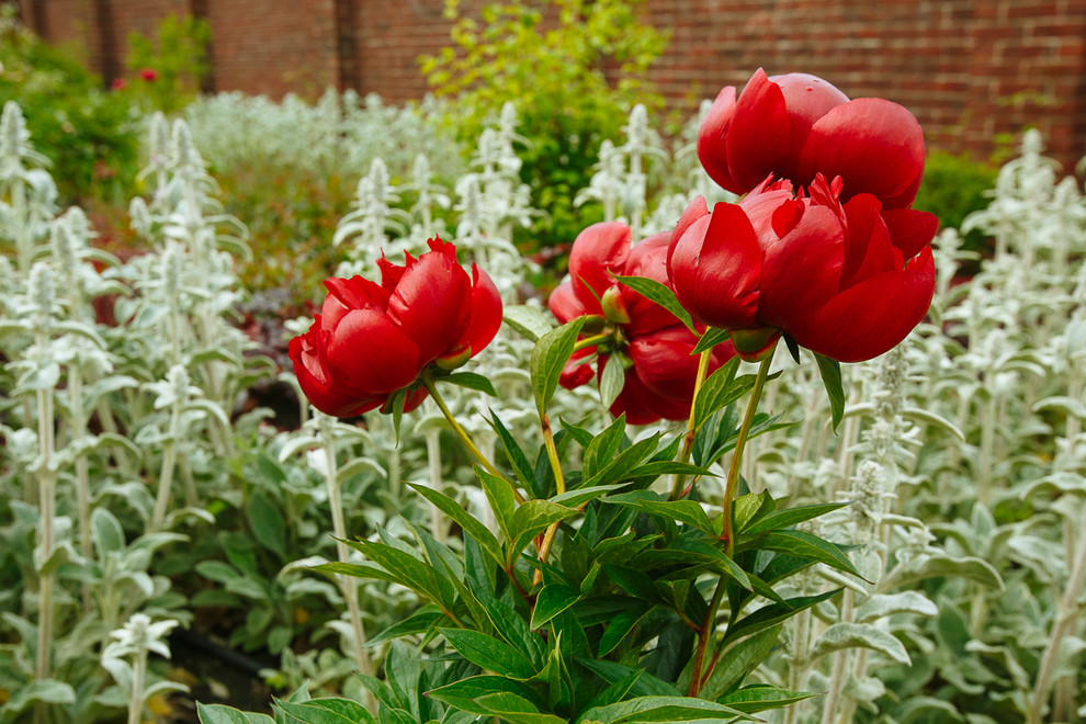 Сад "Витражи". Серебряная медаль конкурса "Ландшафтная осень-2016"