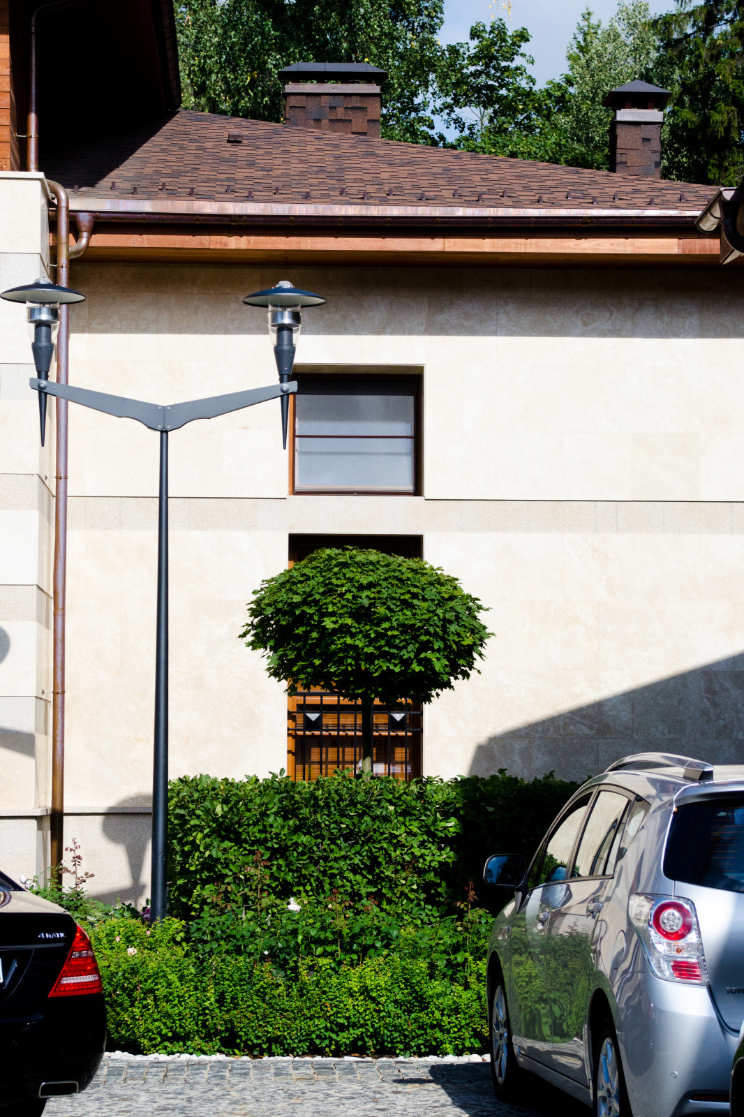 Глянцевый лес