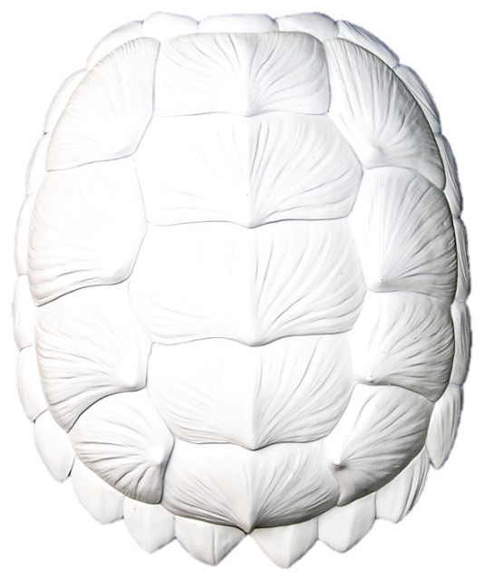 Home Decor Images You Ll Love In 2020 Large Turtle Shell Wall - White Turtle Shell Wall Decor