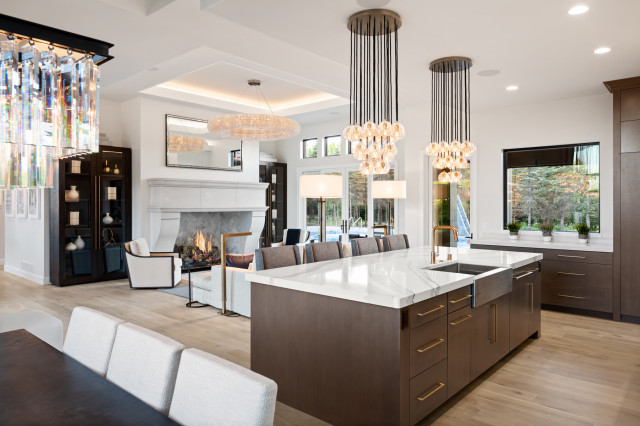 Majestic Pines modern-kueche