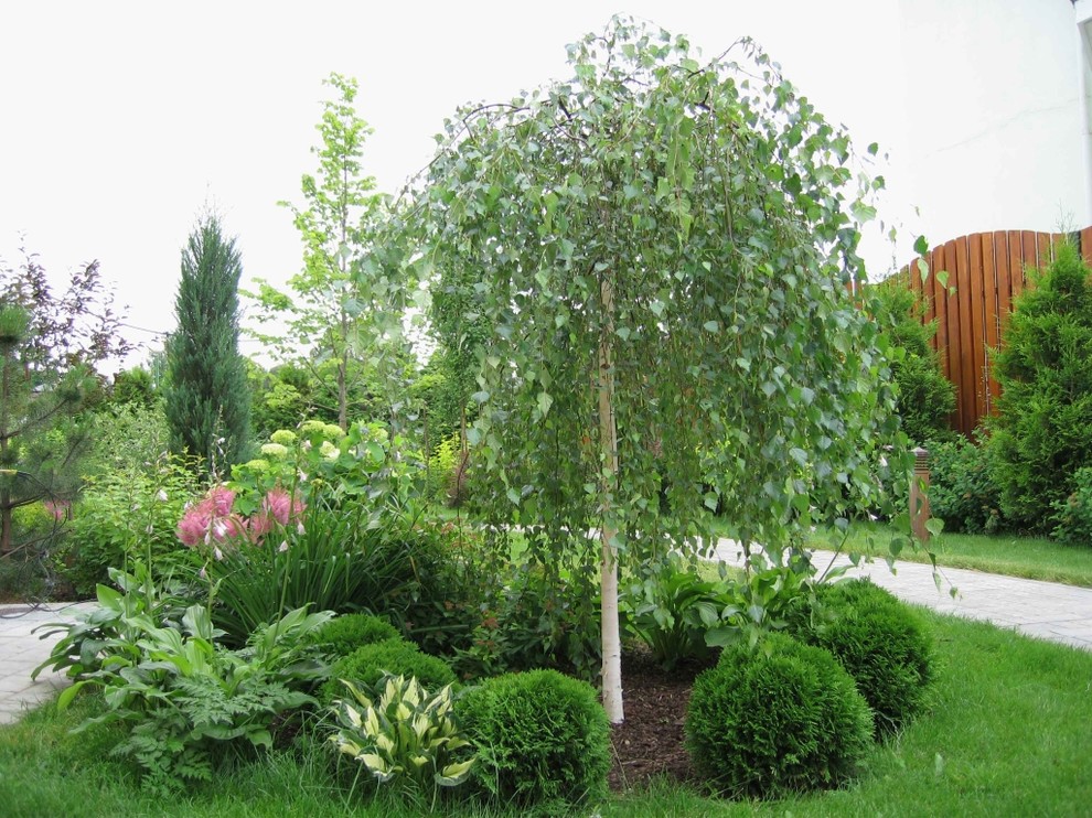 Озеленение небольшого участка