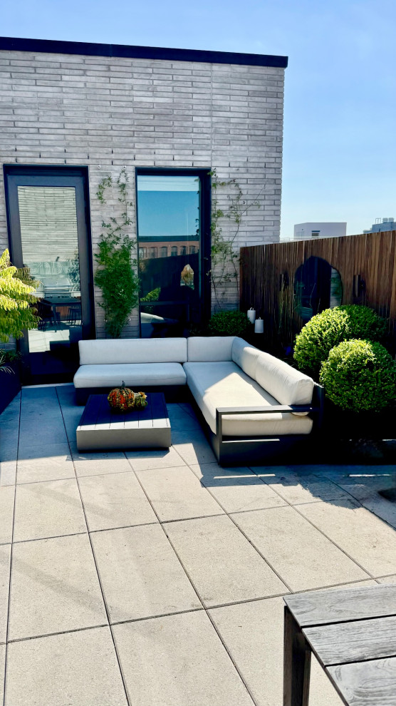 Williamsburg Brooklyn Penthouse