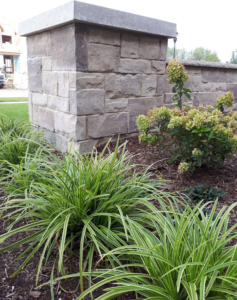 Inspiration for a mid-sized transitional front yard concrete paver formal garden.