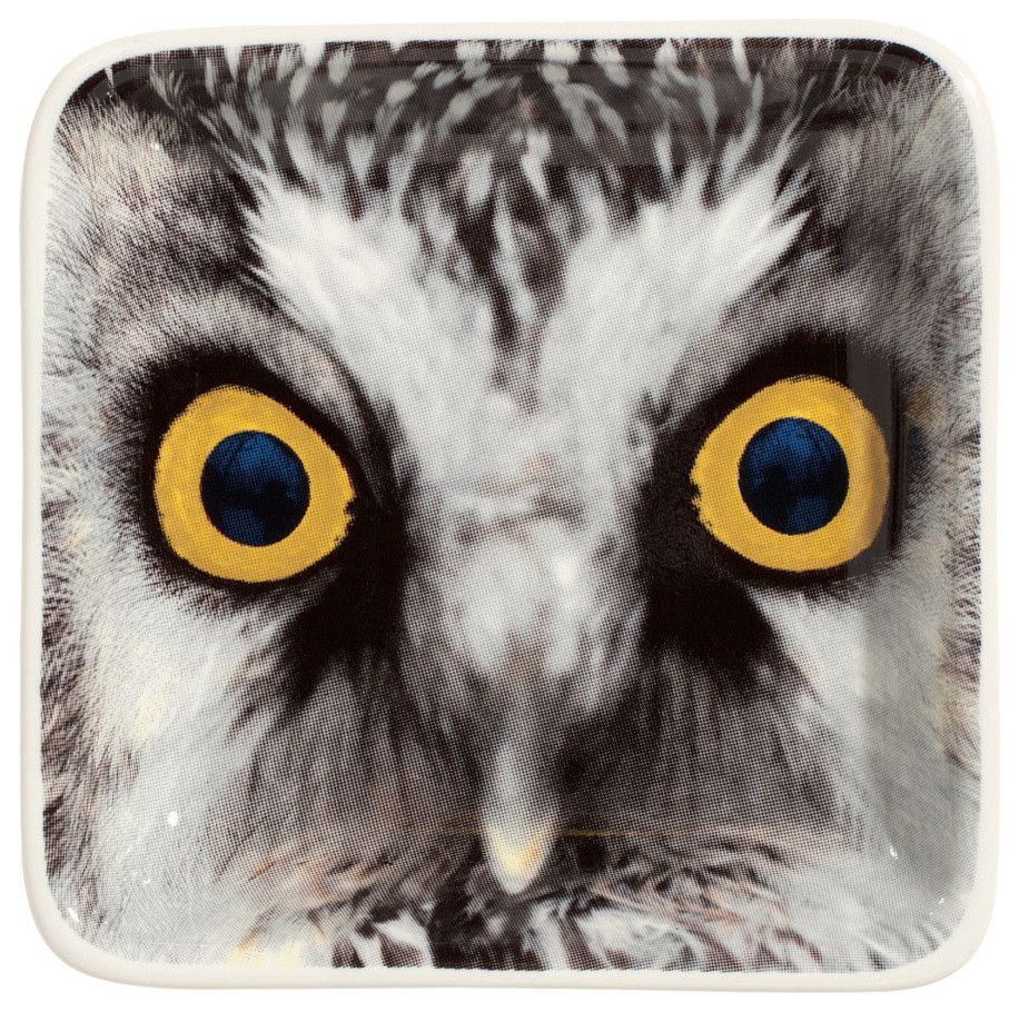 Ceramic Plate, Owl