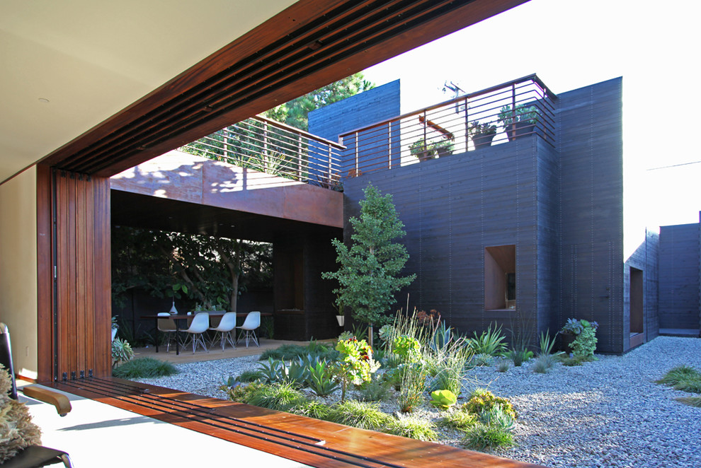 This is an example of a contemporary garden in Los Angeles.