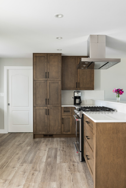 Open Concept Kitchen traditional-kitchen