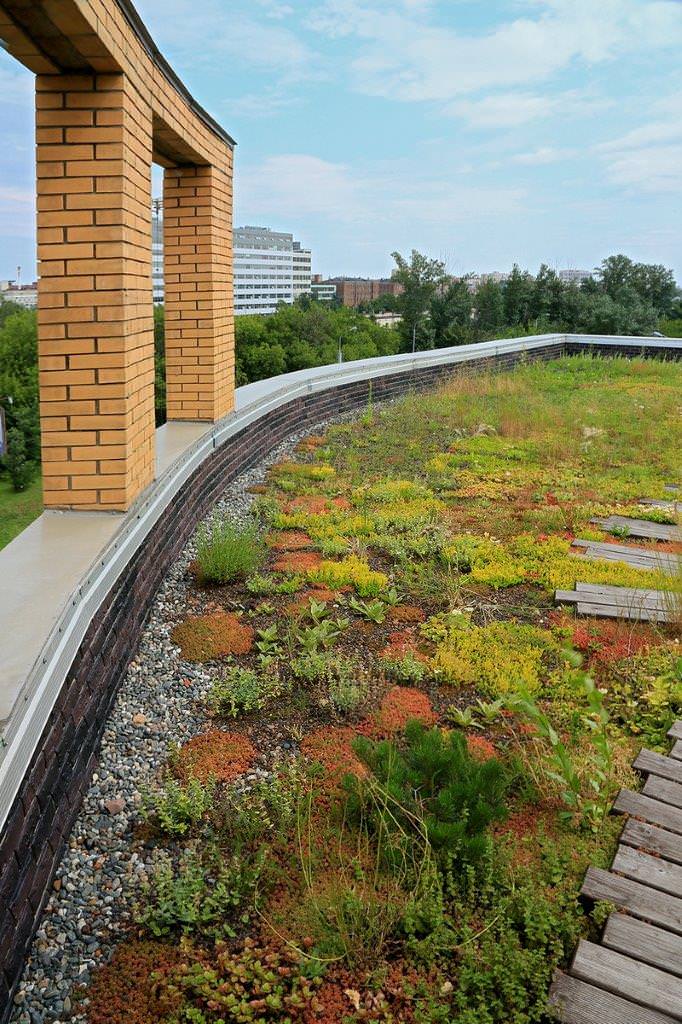 Сад на крыше