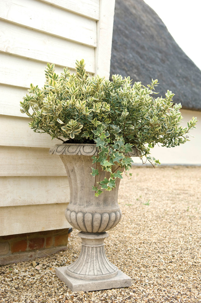 Сад в стиле прованс