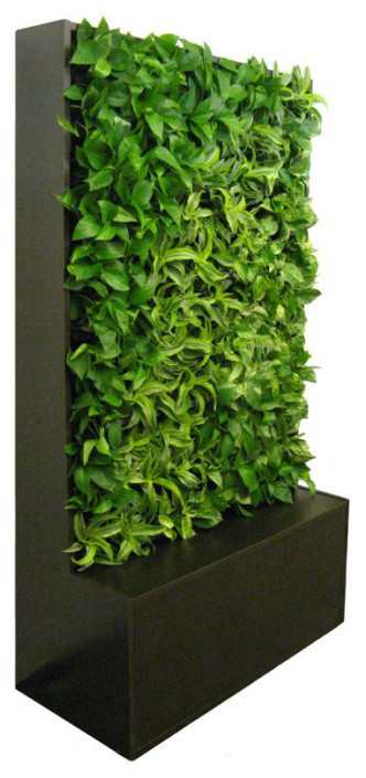 GSky Retail Living Wall Planter & Vertical Gardens