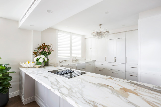 Manly Project transitional-kitchen