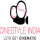 Cinestyle India