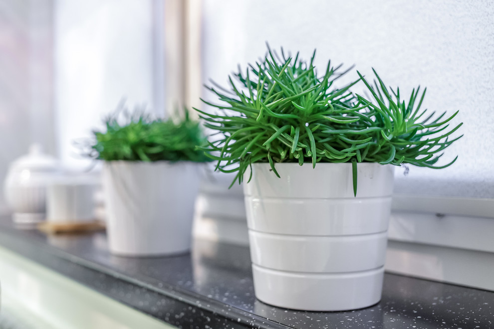 Проект кухни-гостиной