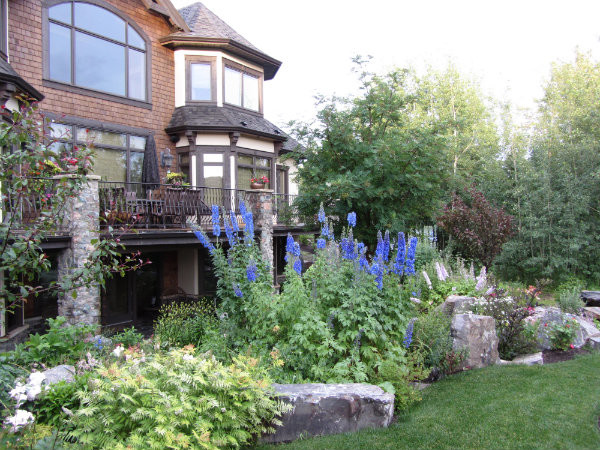 Outdoor Oasis Landscape Design