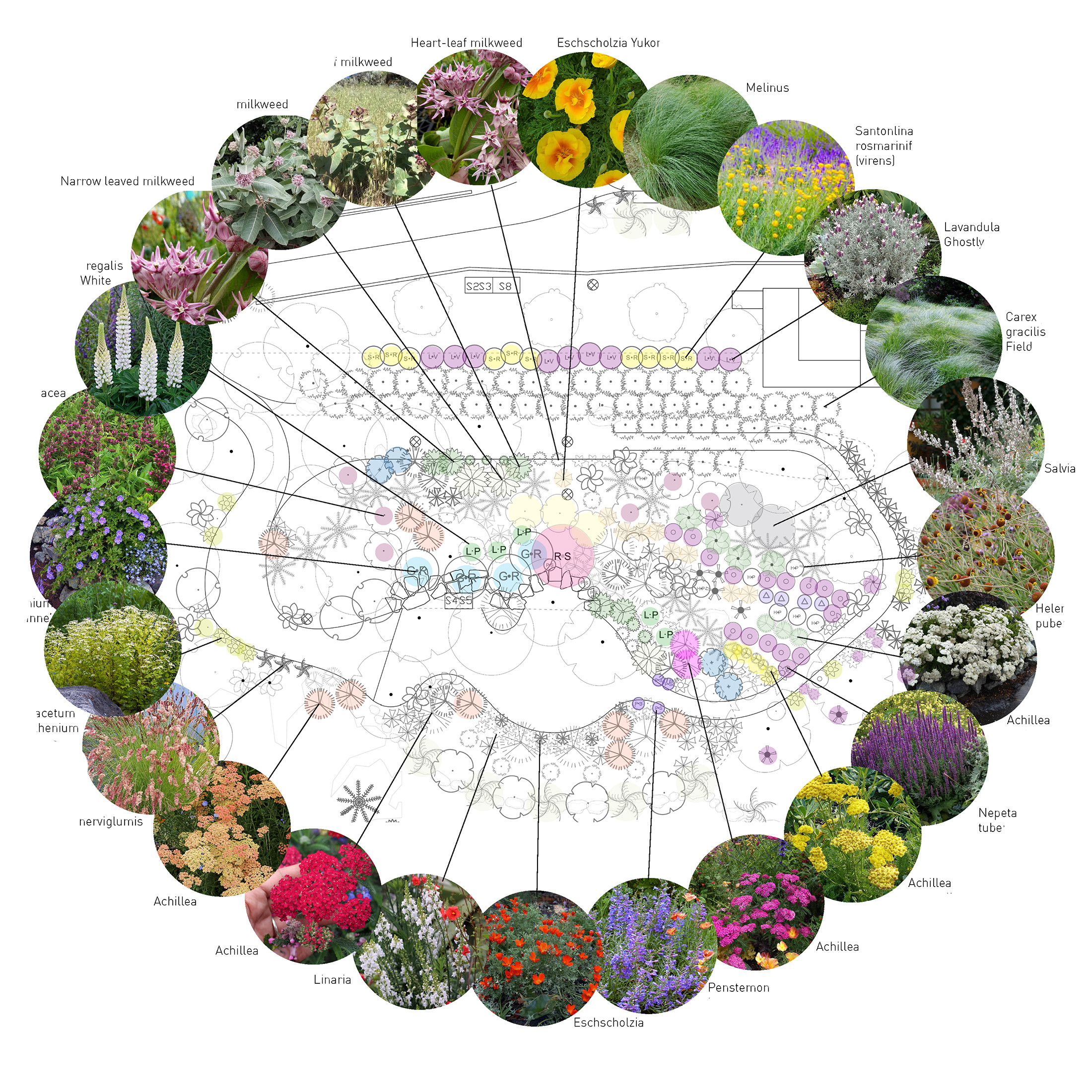 Plant palette