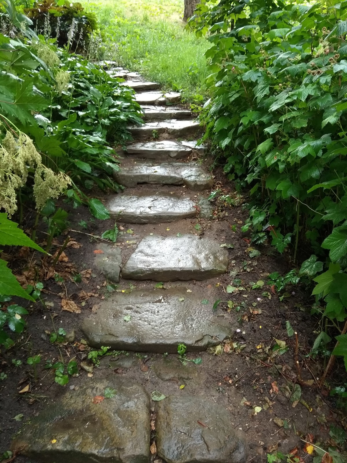 Valley of springs Долина родников