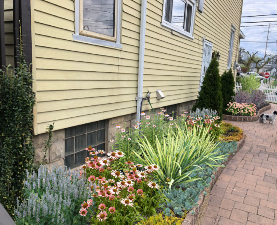 Cottage Gardens
