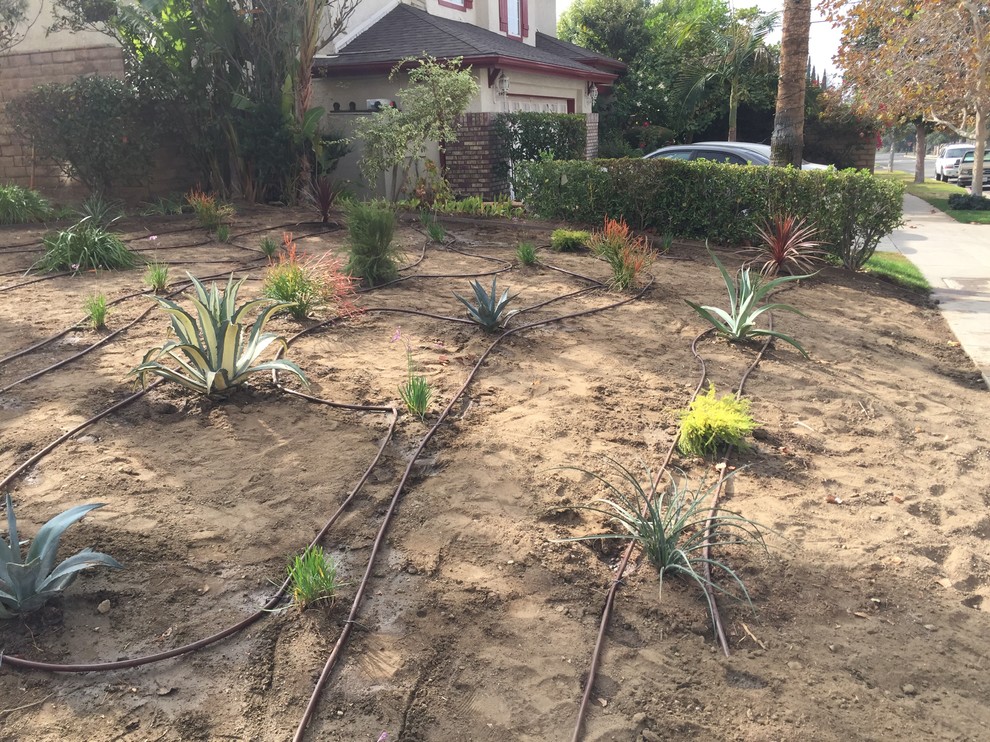 Mid-sized modern front yard partial sun xeriscape in Los Angeles.