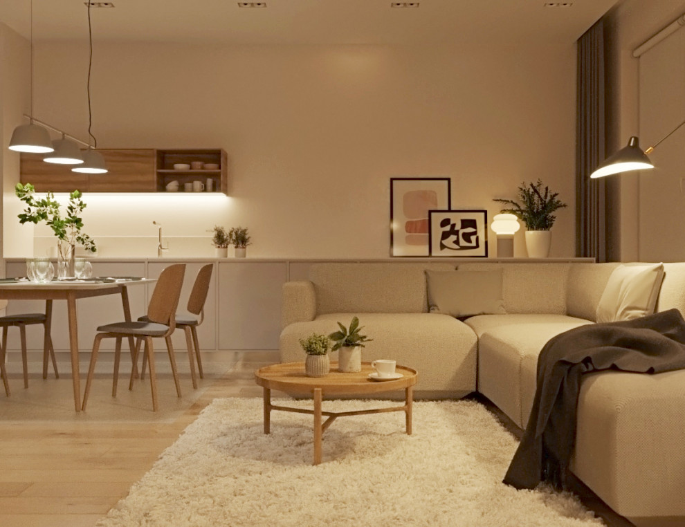 Гостиная-кухня