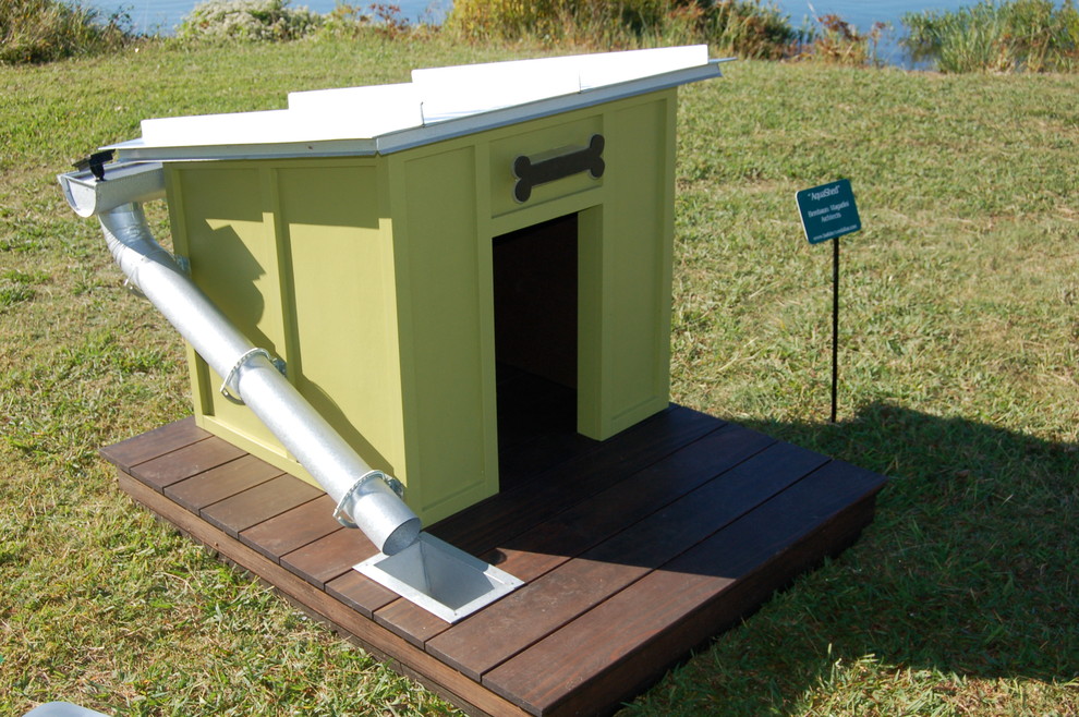 "Green" Dog House Contemporary Dallas by Austin Brothers