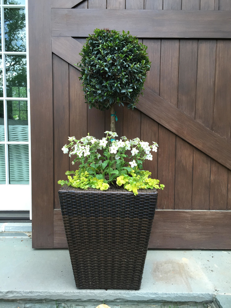Susan Cohan Garden Design Details - Traditional - Garden - New York - by Susan ...