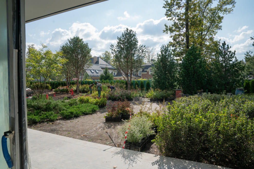 Антоновка. 30 соток. 2023 г.