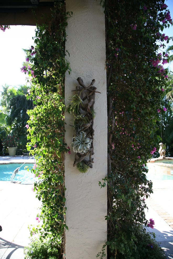 This is an example of an eclectic garden in Miami.