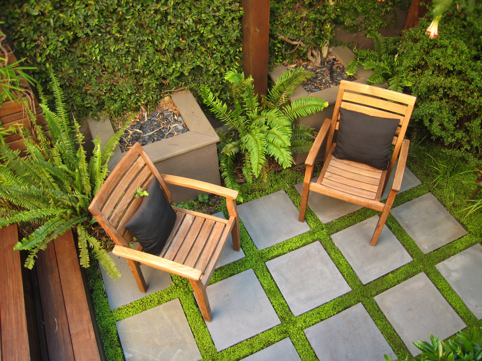 Small transitional courtyard shaded garden in San Francisco with with privacy feature and natural stone pavers.