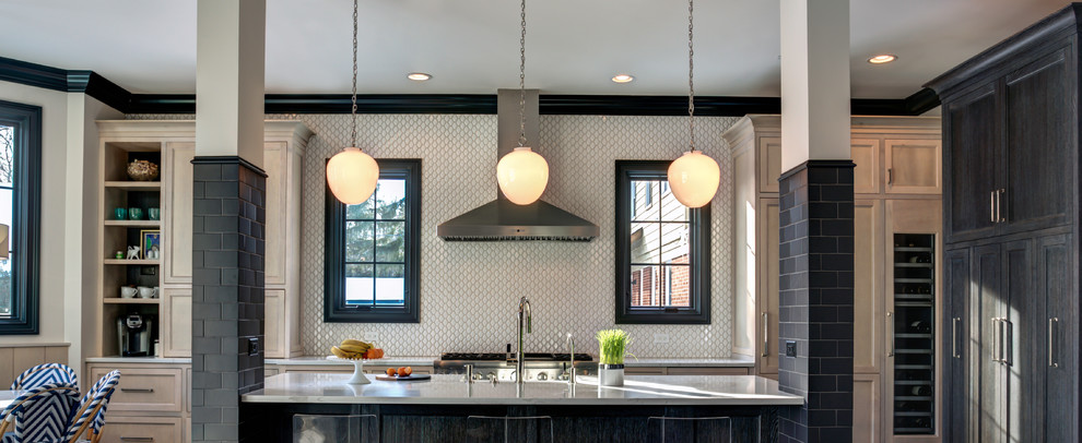 Example of a transitional home design design in Chicago