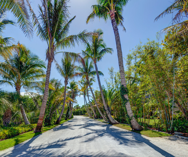 Rau und schön: Die exotische Naturfaser Kokos