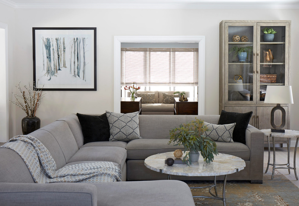 Living Room - Transitional - Living Room - Chicago - by Epic Interiors ...