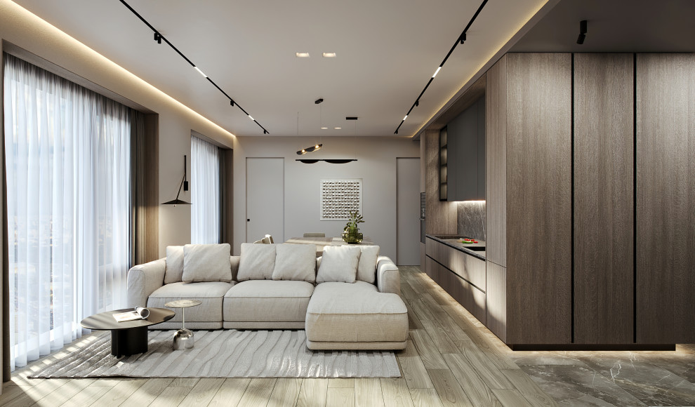 Кухня-гостиная и холл